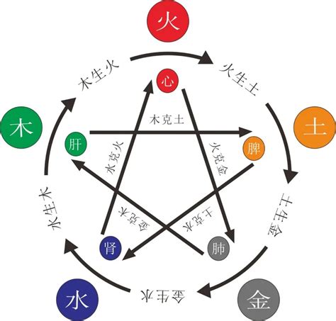 五行属木缺水|八字木多缺水(五行属木的人命里缺什么)